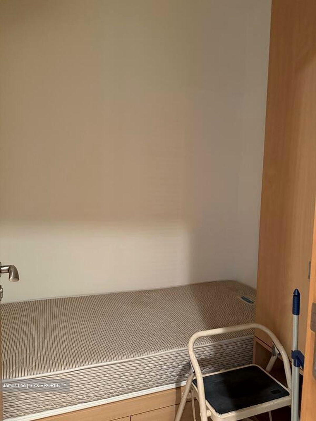 Ardmore Park (D10), Condominium #507464781